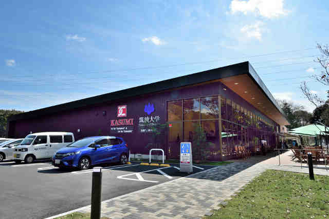 スーパー　カスミ筑波大学店（スーパー）まで676m