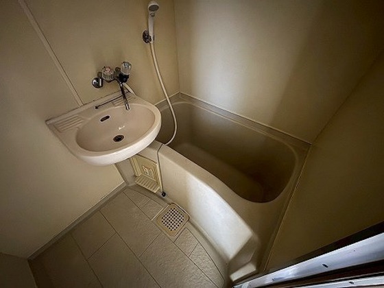 バス・シャワールーム　※別部屋の写真です