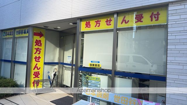 ドラックストア　日本調剤世田谷薬局（ドラッグストア）まで253m