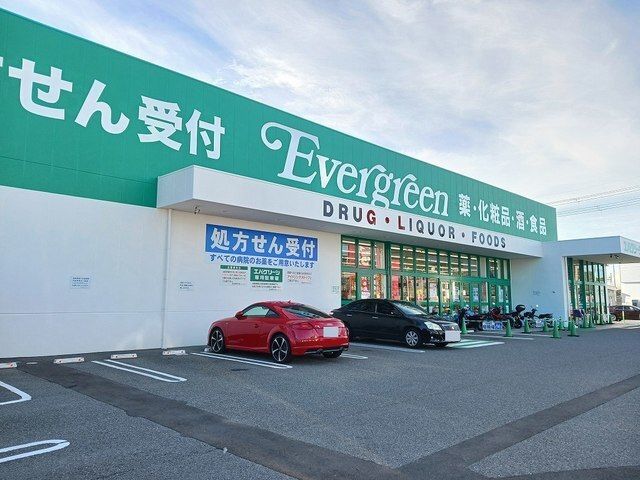 ドラックストア　エバグリーン紀三井寺店様（ドラッグストア）まで230m