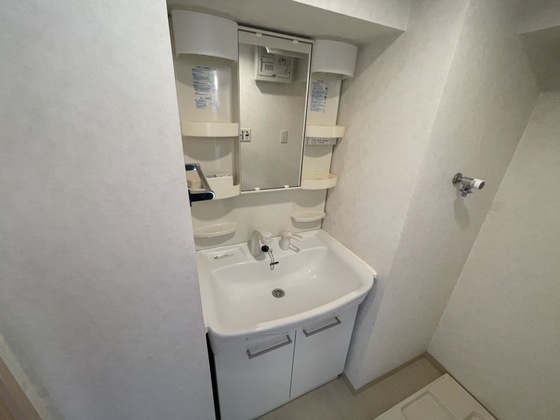 洗面設備　※別部屋の写真です
