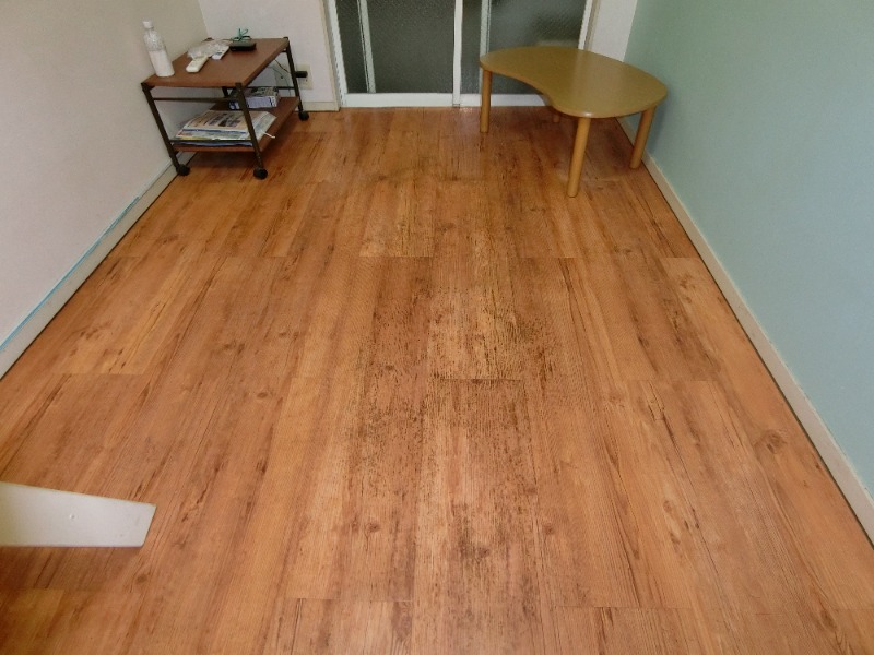 居室・リビング　ロフロ付きの１Ｋ