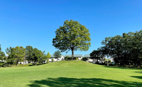 公園　永山第4公園（公園）まで469m