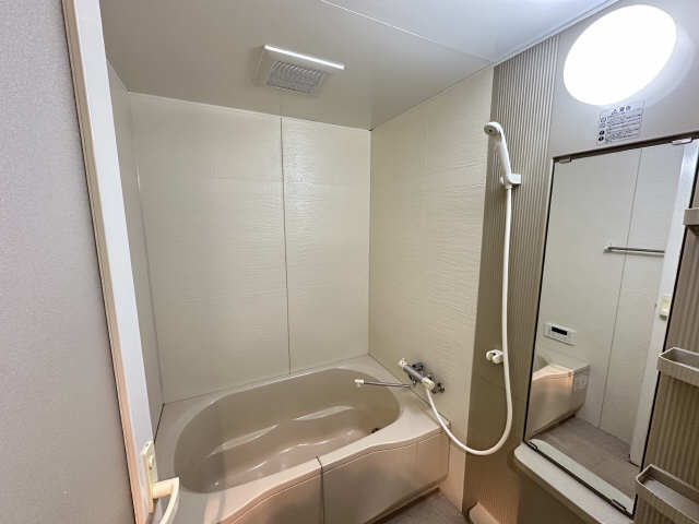 バス・シャワールーム　同タイプ他号室の室内写真です