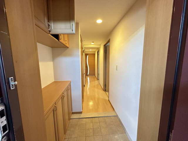 玄関　同タイプ他号室の室内写真です