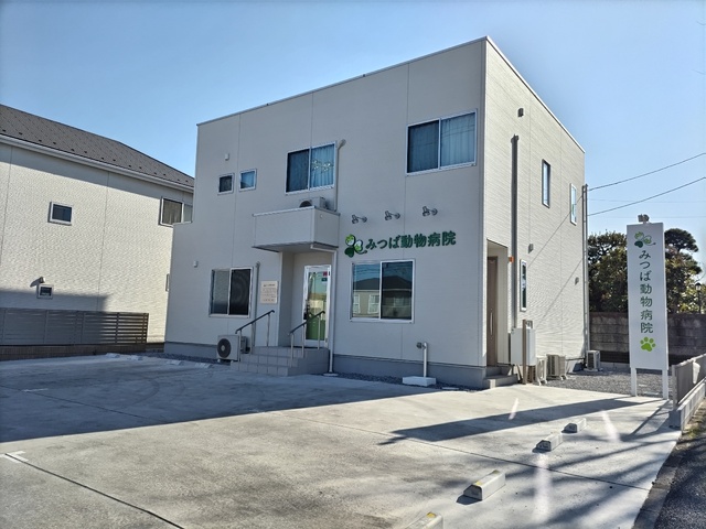 病院　みつば動物病院（病院）まで45m