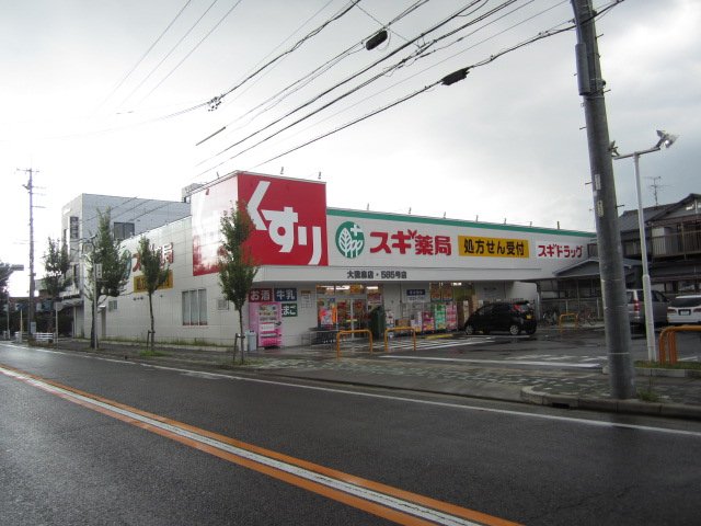 ドラックストア　スギ薬局 大我麻店（ドラッグストア）まで181m