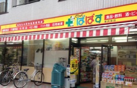 ドラックストア　どらっぐぱぱす 東向島店（ドラッグストア）まで843m