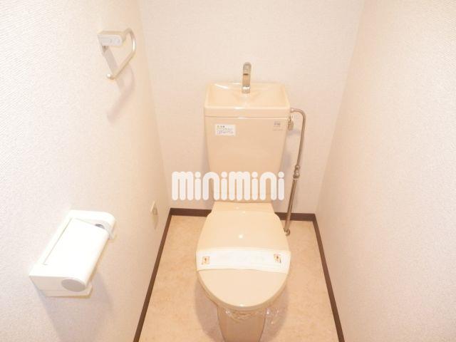 エントランス　自分好みに飾りつけができるトイレです。