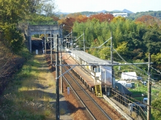 その他　笹部駅（その他）まで300m
