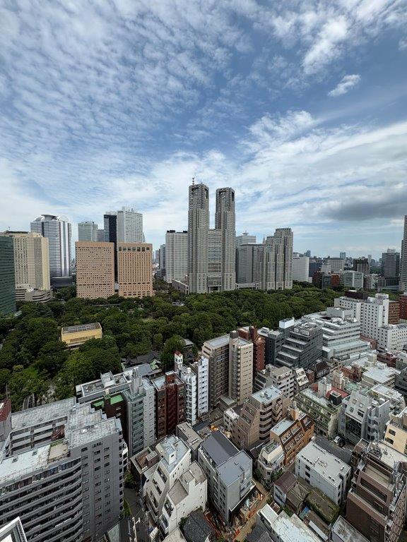 眺望　東向きは都庁の見える眺め