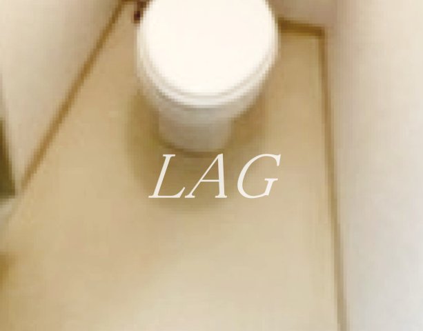 トイレ　トイレです。