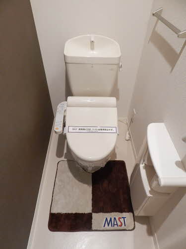 トイレ　トイレも気になるポイント