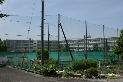 中学校　さいたま市立三橋中学校（中学校）まで317m