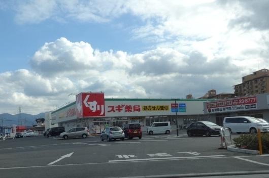 ドラックストア　スギ薬局富田林甲田店（ドラッグストア）まで694m
