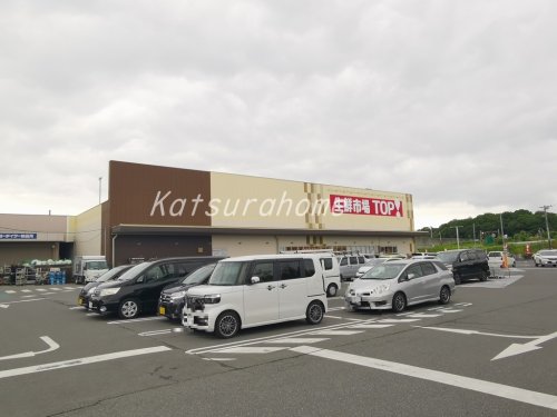 スーパー　生鮮市場TOP 流山セントラルパーク店（スーパー）まで1159m