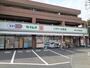 ドラックストア　セイムス梶ヶ谷不動前店（ドラッグストア）まで450m