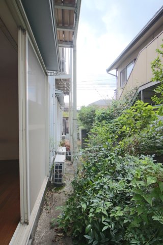 庭