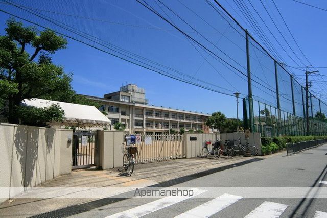 小学校　石橋小学校（小学校）まで439m