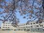 小学校　京都市立 伏見住吉小学校（小学校）まで702m