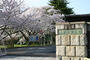 大学・短大　京都教育大学（大学・短大）まで1087m