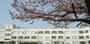 小学校　足立区立渕江小学校（小学校）まで1633m