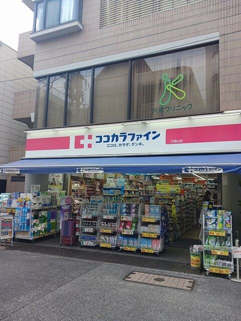 ドラックストア　ココカラファイン（ドラッグストア）まで256m