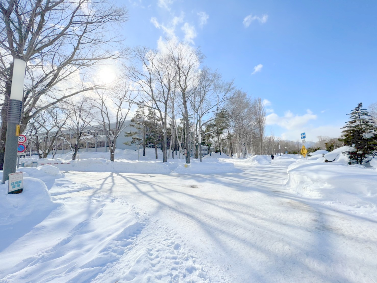 大学・短大　北海道大学北１８条門（大学・短大）まで350m