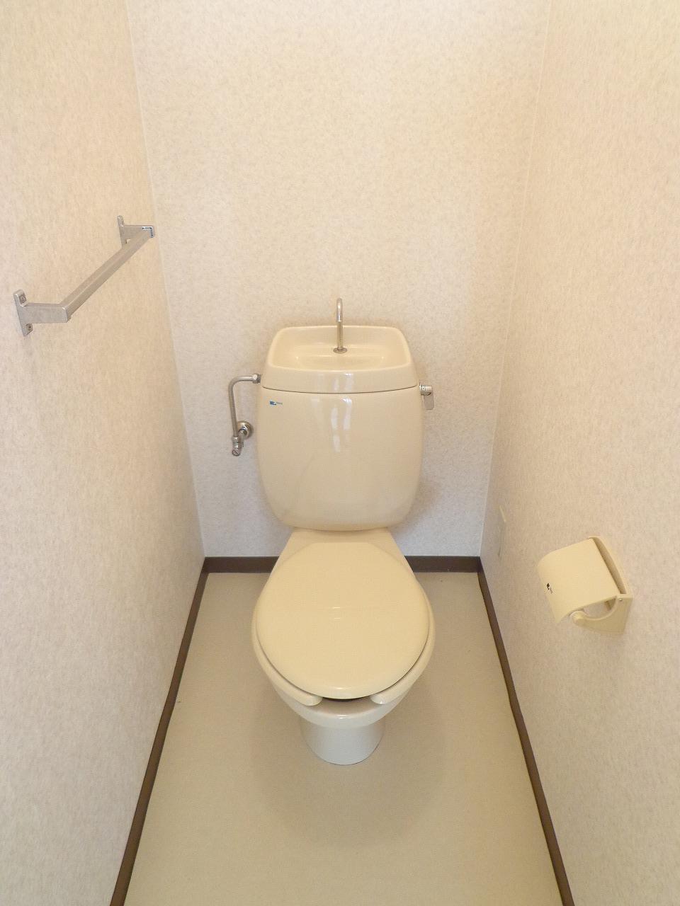 ヴェルドミールのトイレ写真