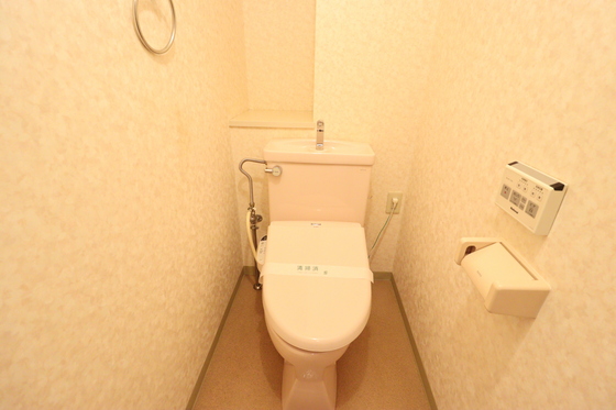 トイレ　※別号室の写真です。