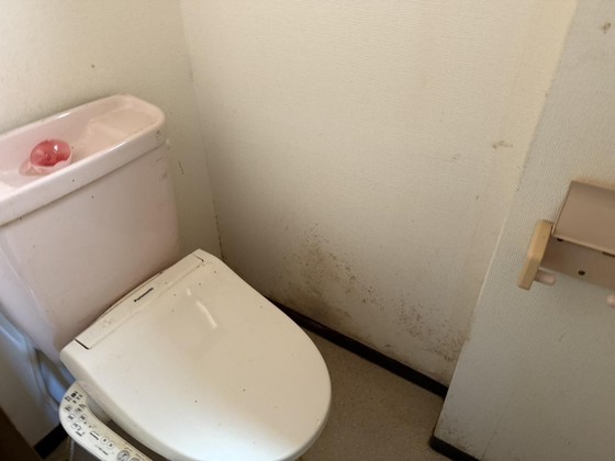トイレ　他号室のお写真です