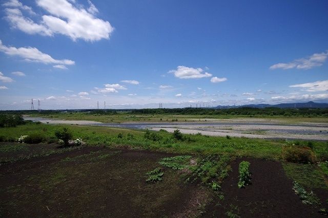 眺望　敷地内から
