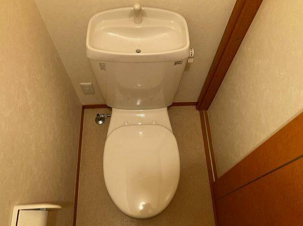 トイレ　トイレも気になるポイント