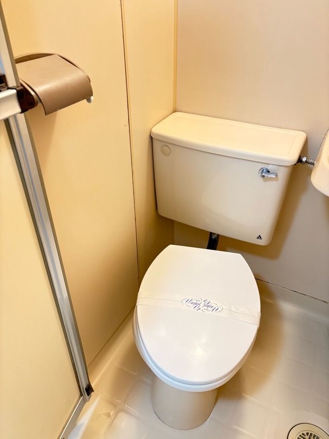 トイレ　※同物件・別部屋のお写真です。