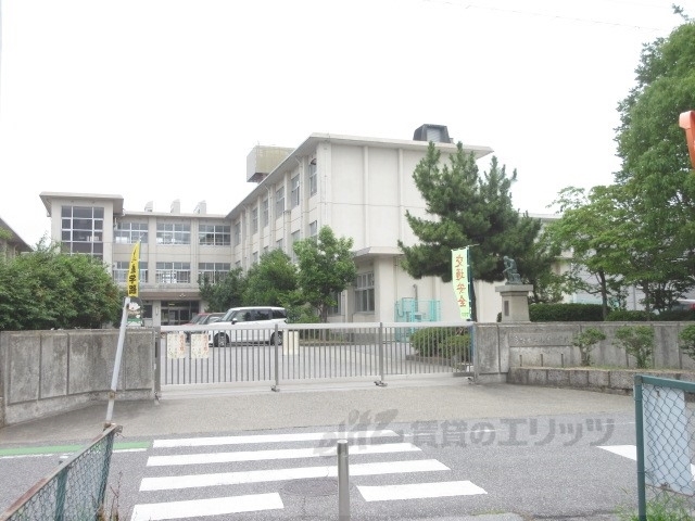 【彦根市西今町のマンションの小学校】