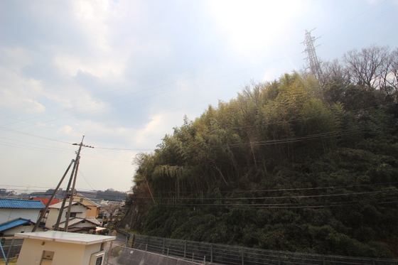 眺望　※別部屋の写真です