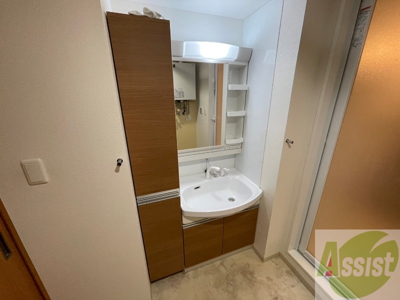 洗面設備　シャンプードレッサー。身支度はここでばっちりですね。