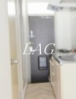 玄関　玄関です。（同仕様です。）