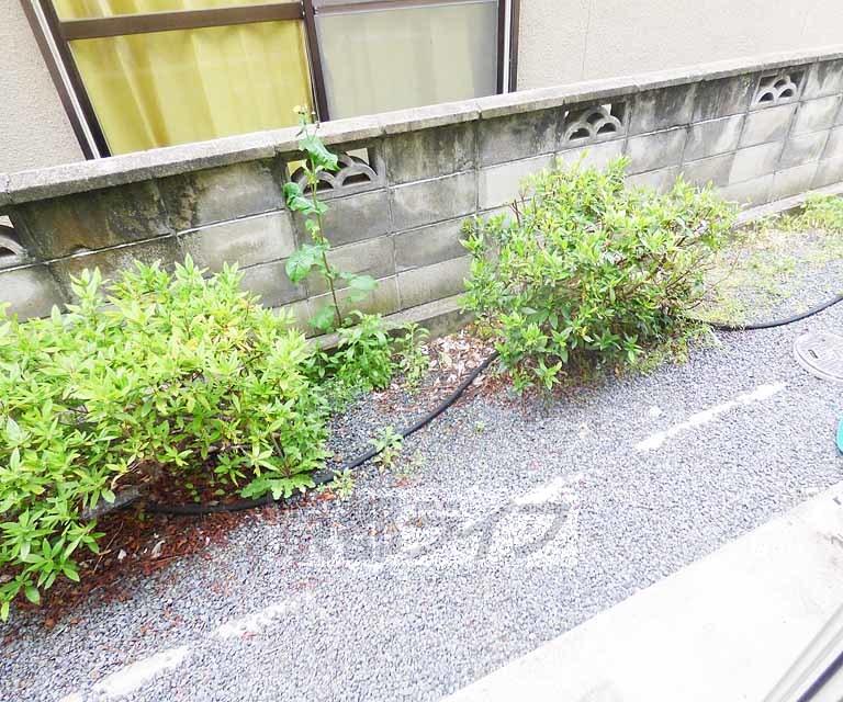 眺望　室内からの室外風景です。