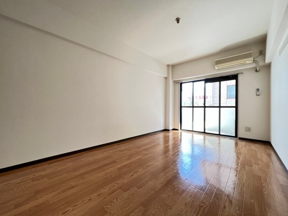 居室・リビング　＊他号室の写真を利用