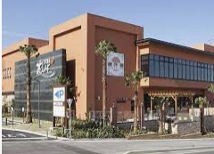 その他　花しょうぶ（その他）まで3809m