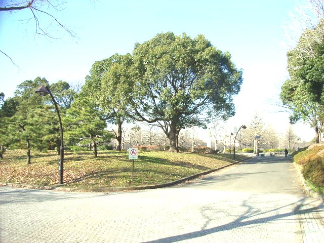 公園　都立 猿江恩賜公園（公園）まで374m