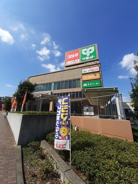 ショッピングセンター　ビックカメラ（ショッピングセンター）まで1000m