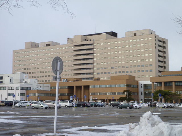 警察署・交番　北警察署　北20条交番（警察署・交番）まで42m