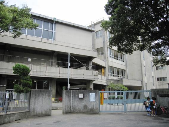 小学校　高石市立 高陽小学校（小学校）まで251m