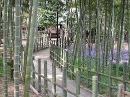 公園　すずめのお宿緑地公園（公園）まで214m