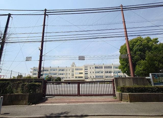 小学校　横浜市立太尾小学校（小学校）まで653m