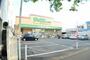 ドラックストア　ダックス左京一乗寺店（ドラッグストア）まで480m