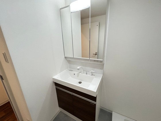 洗面設備　※別部屋の写真です