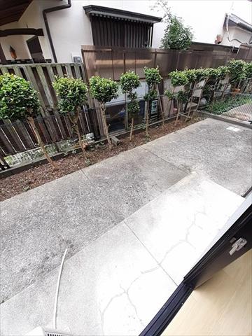庭